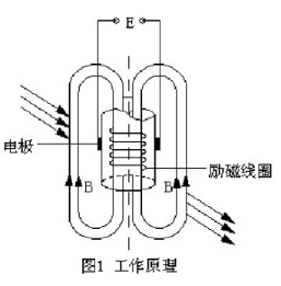 插入式電磁流量計(jì)(圖1)