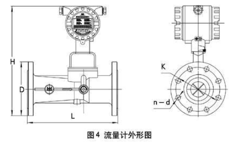 旋進(jìn)旋渦流量計(jì)(圖3)